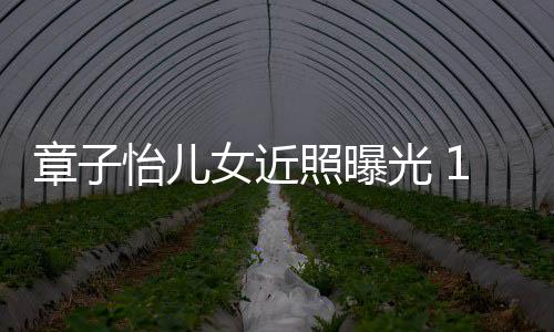儿子皮肤章子照曝白超光 呆萌像醒醒女近怡儿1岁